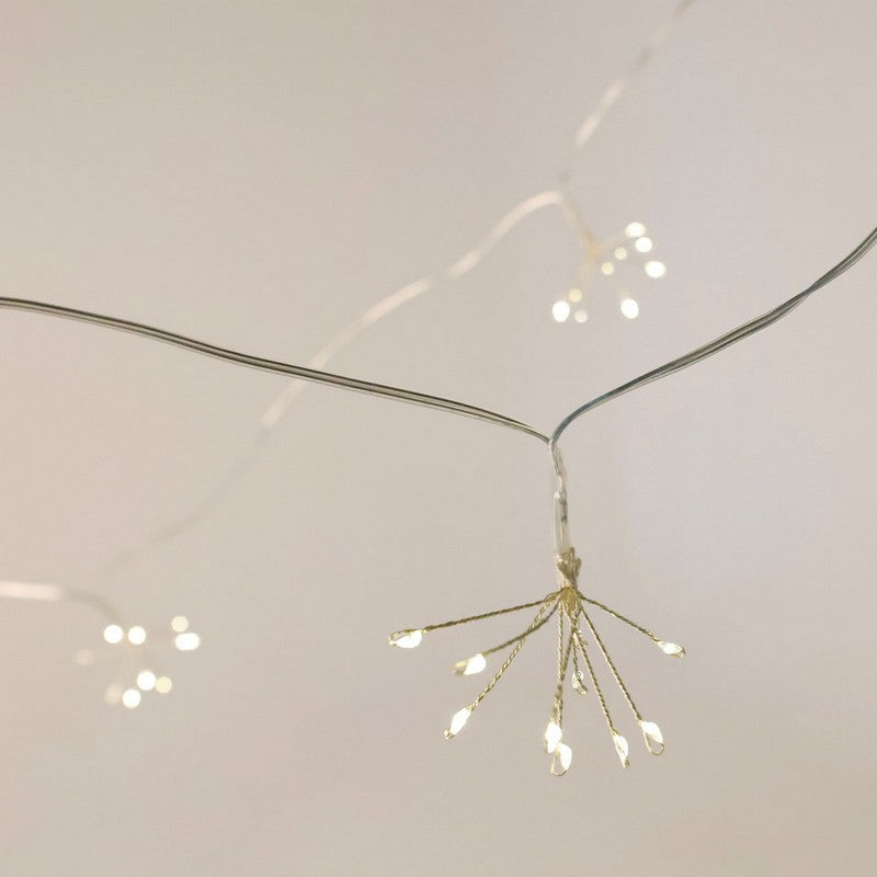 Wensum String Fairy Christmas Lights Warm White Outdoor 40 LED - 6m Dandelion by Wensum