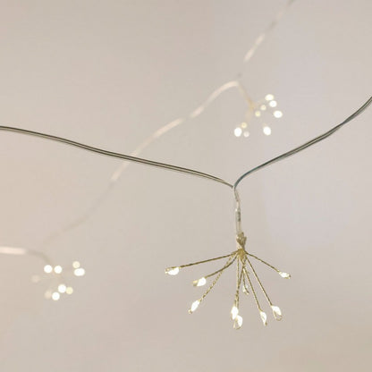 Wensum String Fairy Christmas Lights Warm White Outdoor 40 LED - 6m Dandelion by Wensum