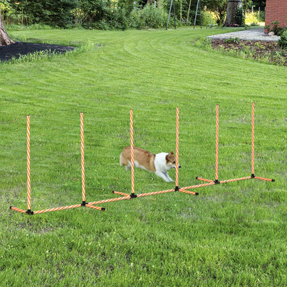 PawHut Dog Agility Weave Poles Training Obstacle Course Set Slalom Equipment with Bag