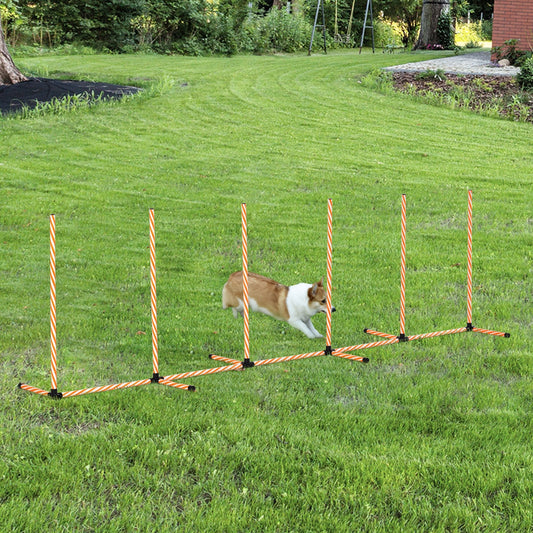 PawHut Dog Agility Weave Poles Training Obstacle Course Set Slalom Equipment with Bag