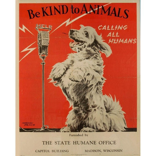 Scarthingwell Vintage Be Kind To Animals Sign Metal Wall Mounted - 40cm