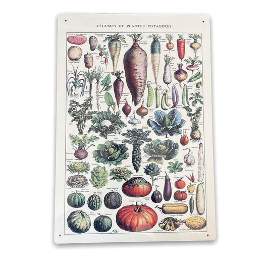 Scarthingwell Vintage Botanical Vegetables Sign Metal Wall Mounted - 42cm