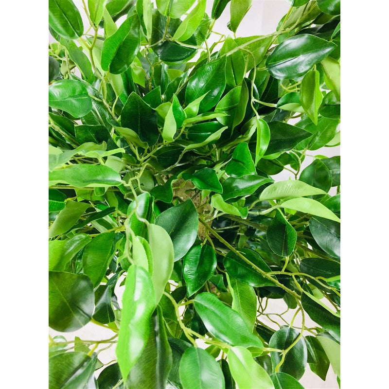 Scarthingwell Twisted Trunk Ficus Tree Artificial Plant Green - 137cm