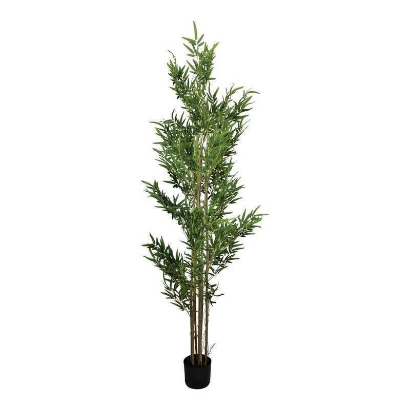 Scarthingwell Bamboo Tree Artificial Plant Green - 220cm