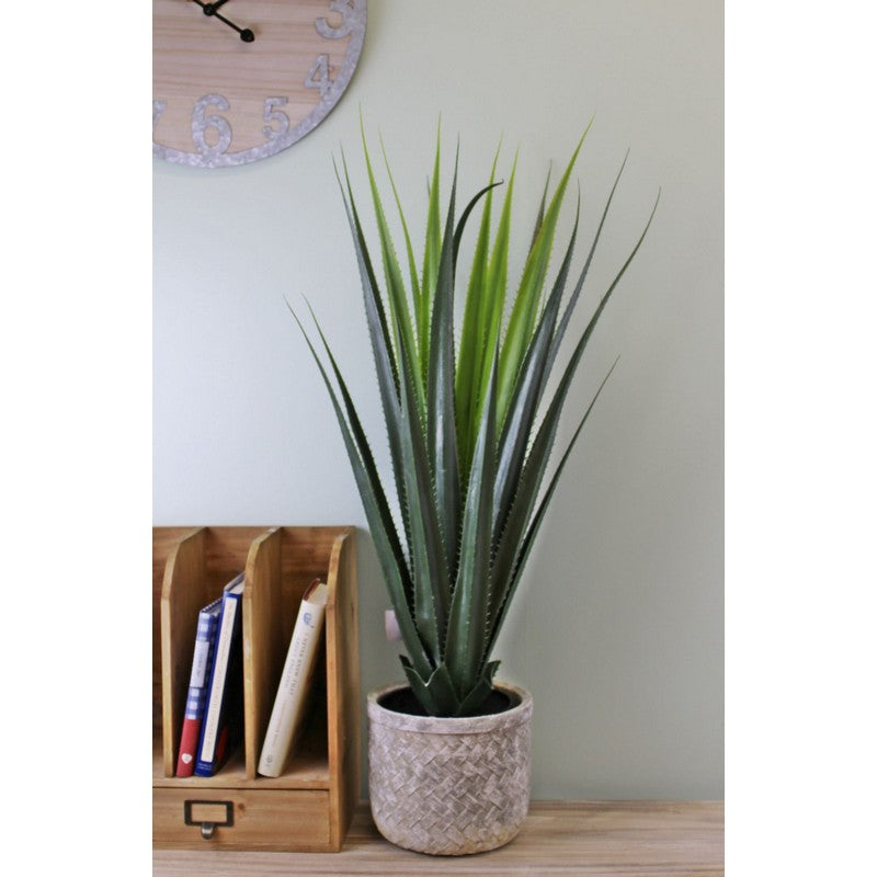 Scarthingwell Aloe Vera Artificial Plant Green - 80cm