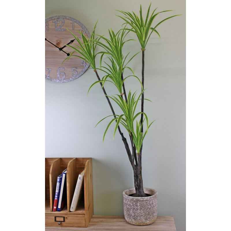 Scarthingwell Dracaena Marginata Tree Artificial Plant Green - 120cm