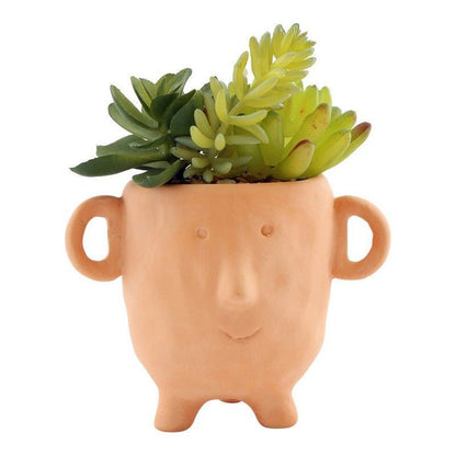 Scarthingwell Face Faux Succulent Terracotta - 14cm