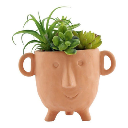 Scarthingwell Face Faux Succulent Terracotta - 27cm