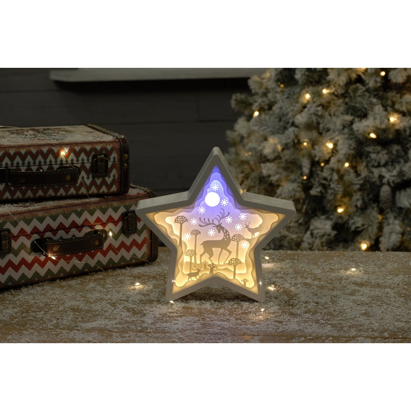 Reindeer Snowflake Indoor Illuminated Decoration Ice White 23cm