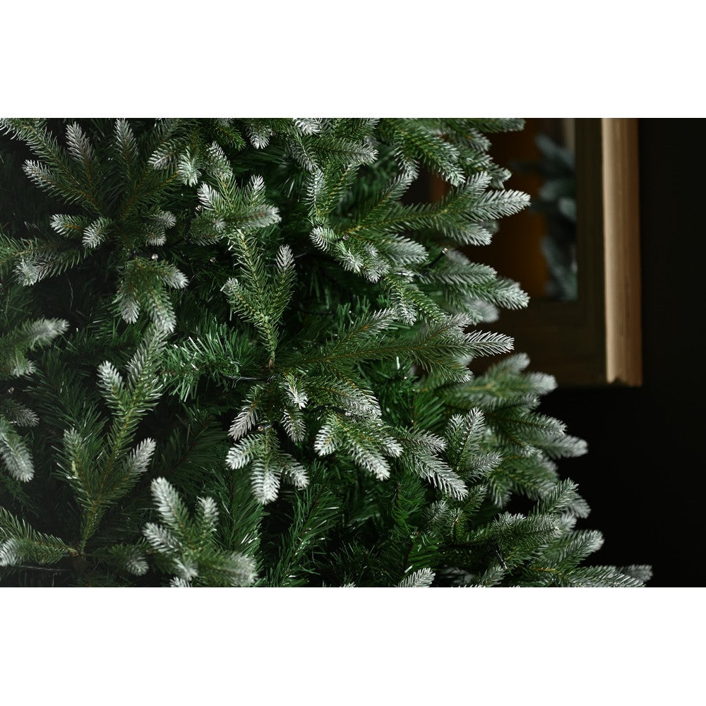 5ft Belvedere Pine Christmas Tree Artificial - White Frosted Green  487 Tips