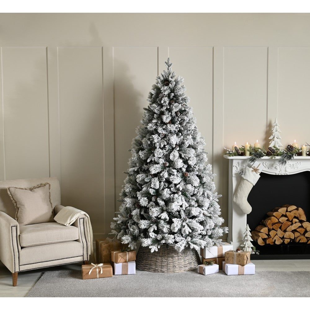 6ft Bishop's Pine Christmas Tree Artificial - White Frosted Green  675 Tips