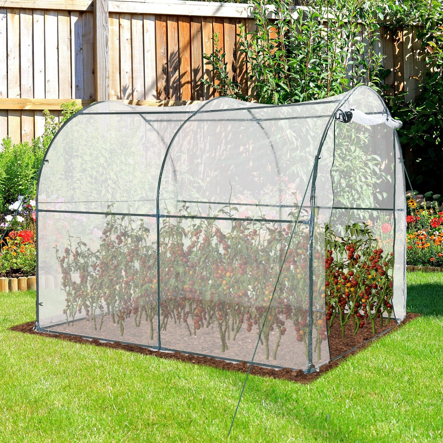 Walk-in Polytunnel Greenhouse with Roll-up Door Transparent Tunnel Greenhouse with Steel Frame and PVC Cover