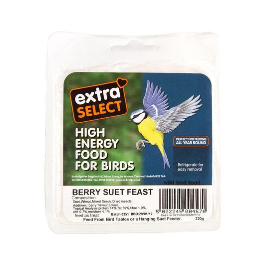 Extra Select Extra Select Suet Block - Berry