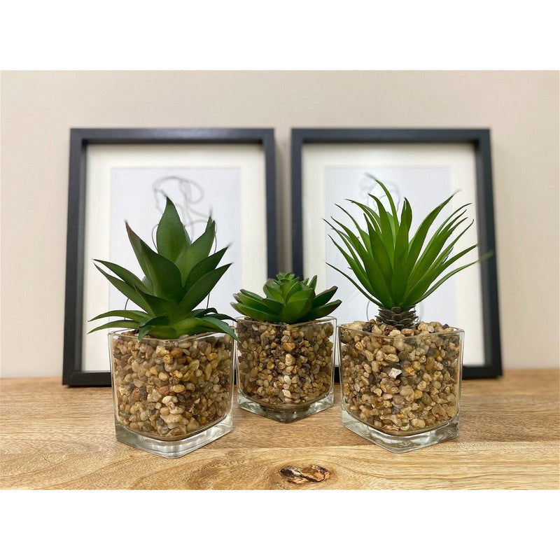 Faux Succulent Glass - 7.5cm