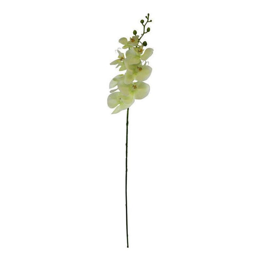 Scarthingwell Orchid Artificial Flower Cream - 85cm