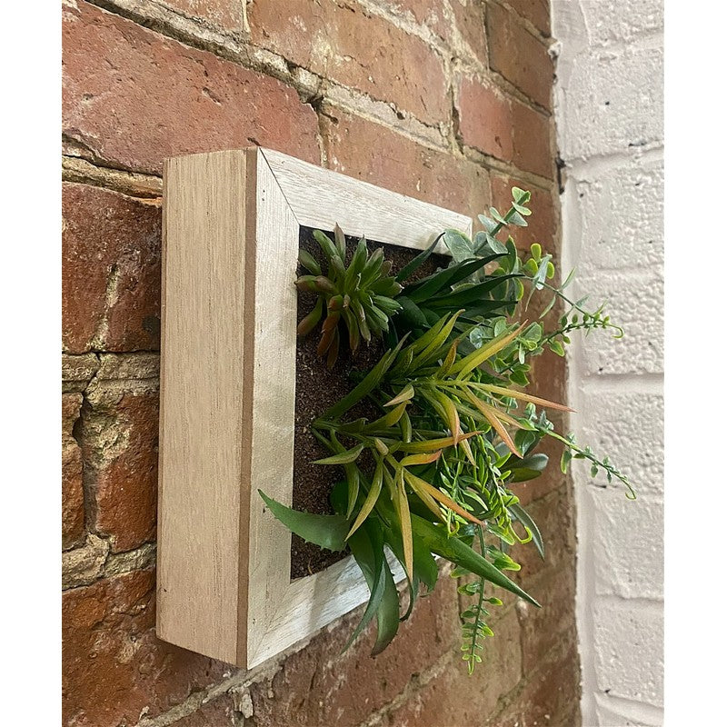 Scarthingwell Frame Faux Succulent Wood Wall Mounted - 20cm