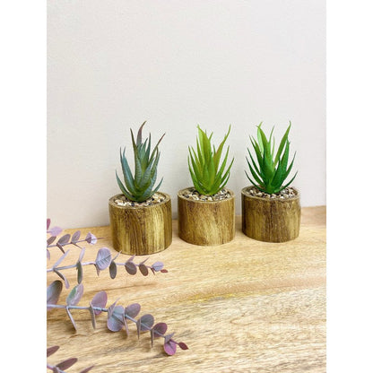 3x Faux Succulent Wood - 7.5cm