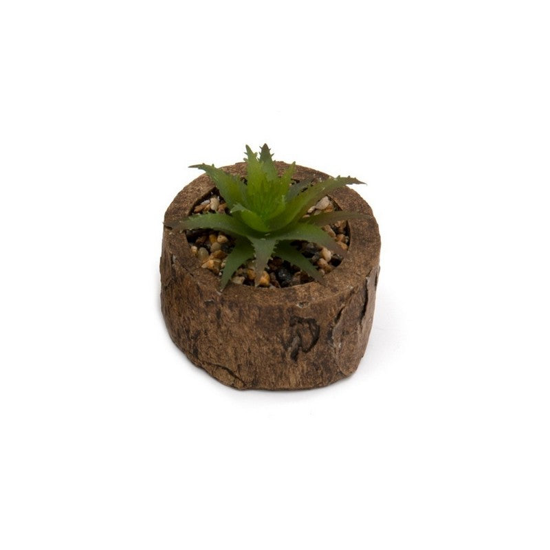 Scarthingwell Faux Succulent Wood - 8cm