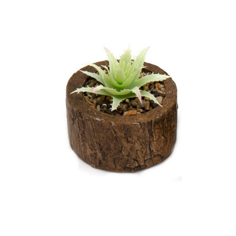 Scarthingwell Faux Succulent Wood - 8cm