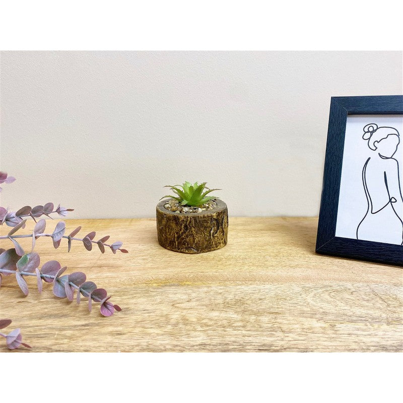 Scarthingwell Faux Succulent Wood - 8cm