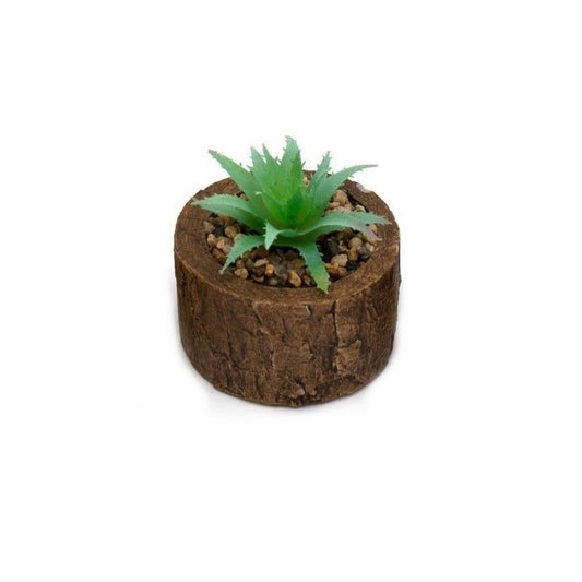 Scarthingwell Faux Succulent Wood - 8cm