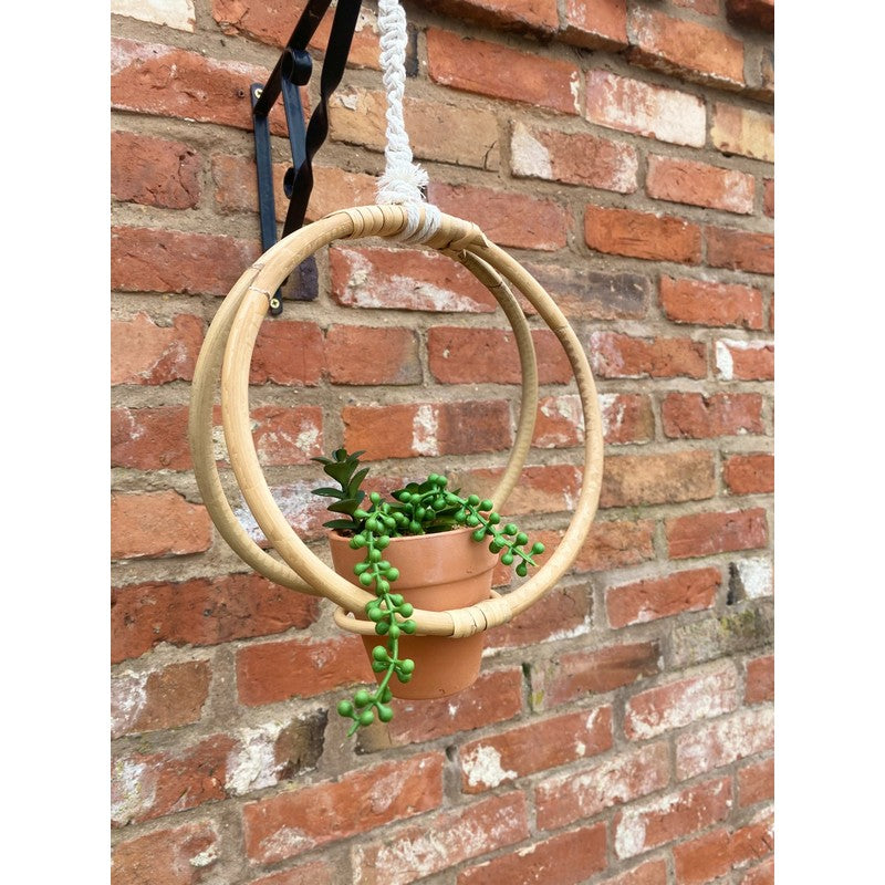 Scarthingwell Faux Succulent Bamboo & Terracotta Hanging - 30cm