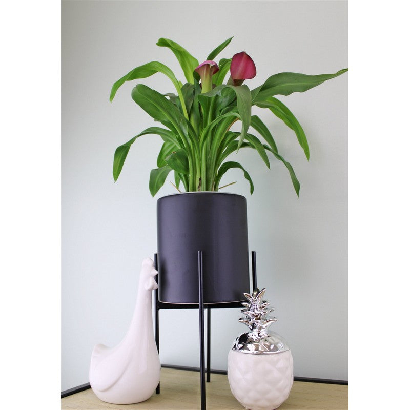 Scarthingwell Planter Ceramic Black - 29cm