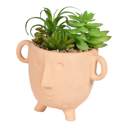 Scarthingwell Face Faux Succulent Terracotta - 27cm