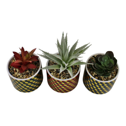 3x Faux Succulent Ceramic with Cubic Pattern - 15cm