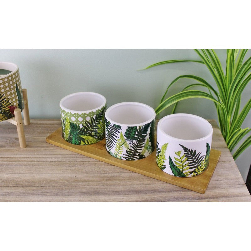 Scarthingwell Meze Set Ceramic & Wood White with Fern Pattern - 31cm