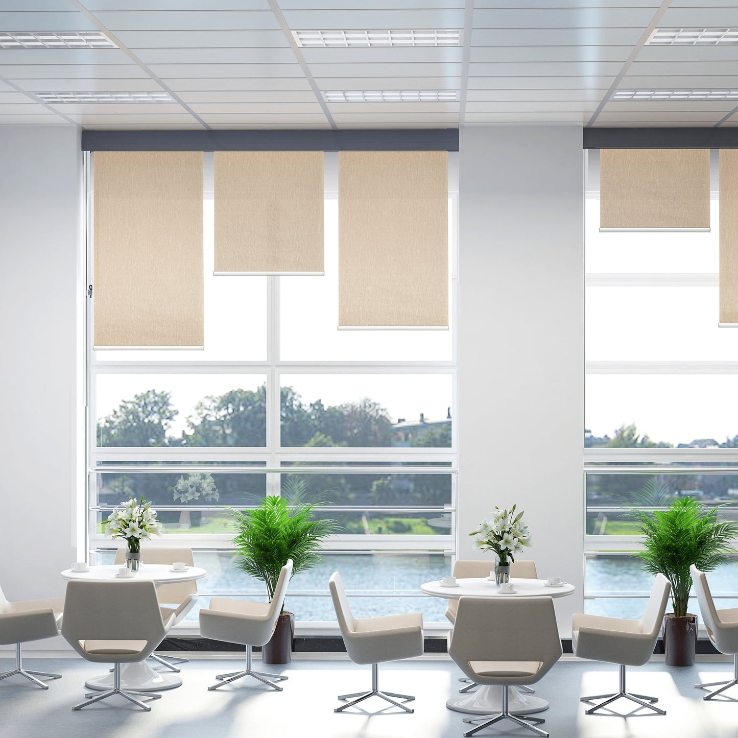 WiFi Smart Roller Blinds Work with TUYA App