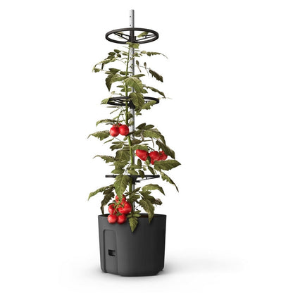 Self-Watering Tomato Pot With Extendable Trellis - 29cm