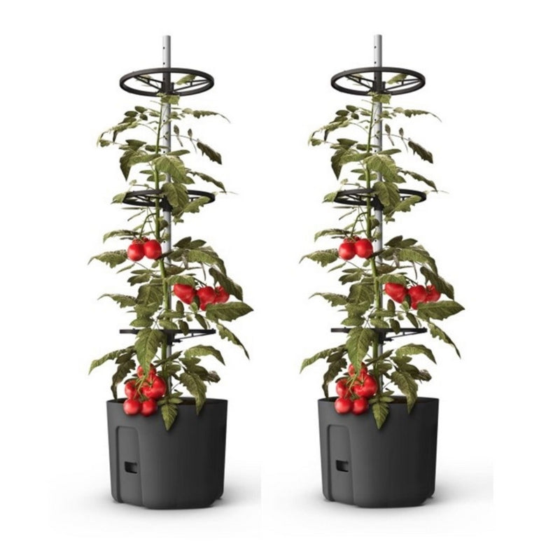 Self-Watering Tomato Pot With Extendable Trellis - 39cm - Twin Pack