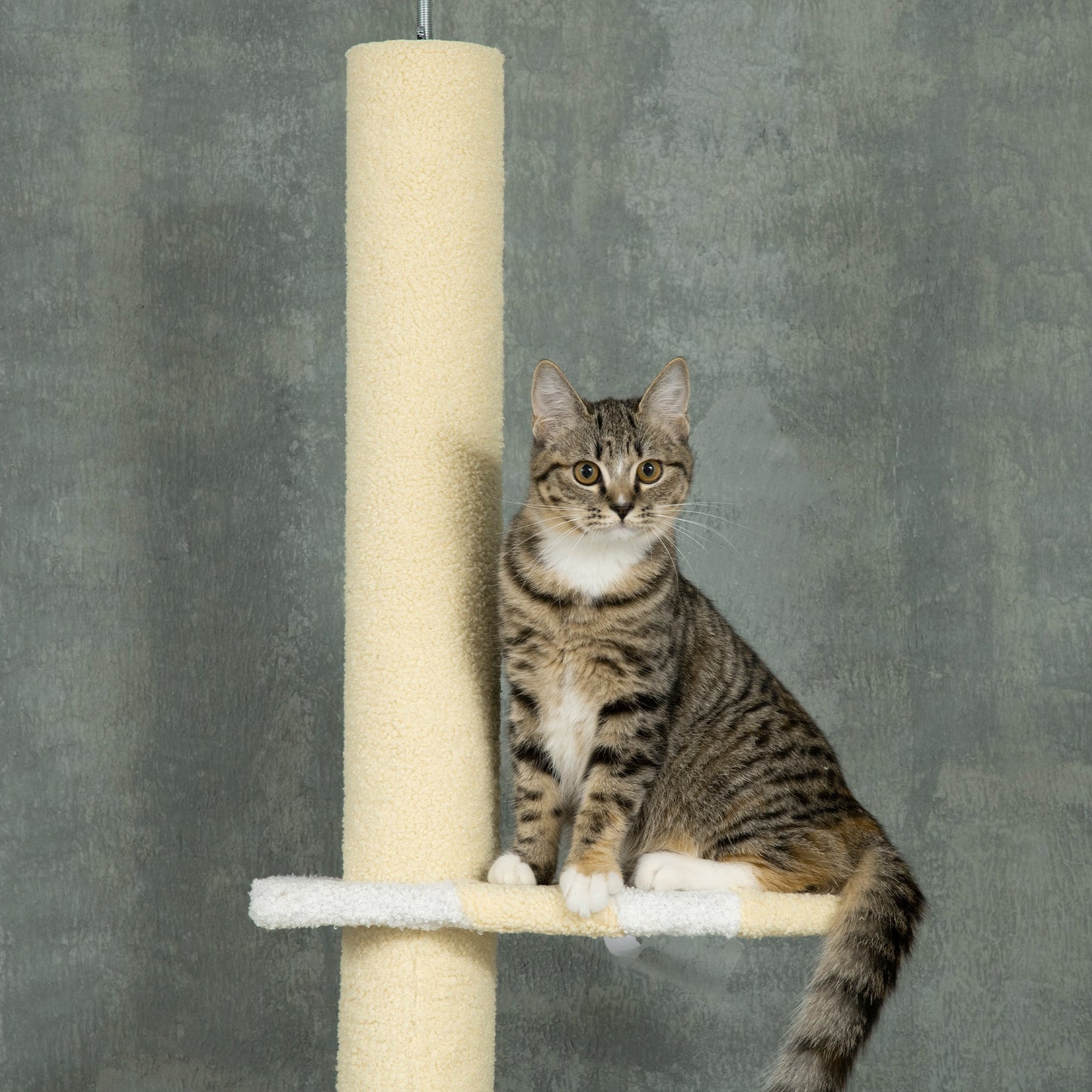 PawHut 260cm Floor to Ceiling Cat Tree