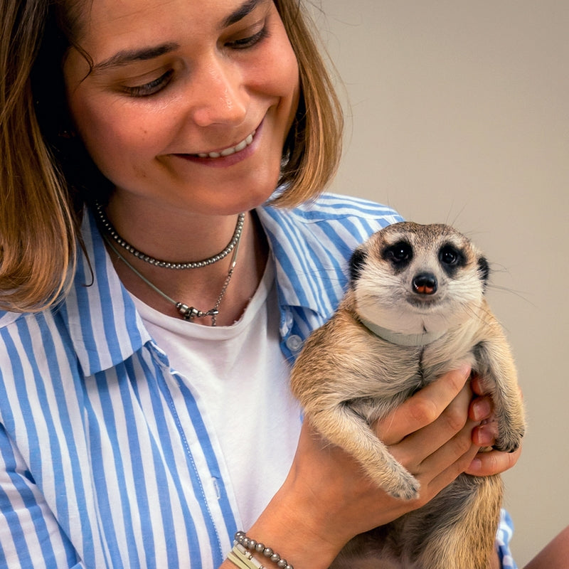 Meet the Meerkats - Gift Experience for Two