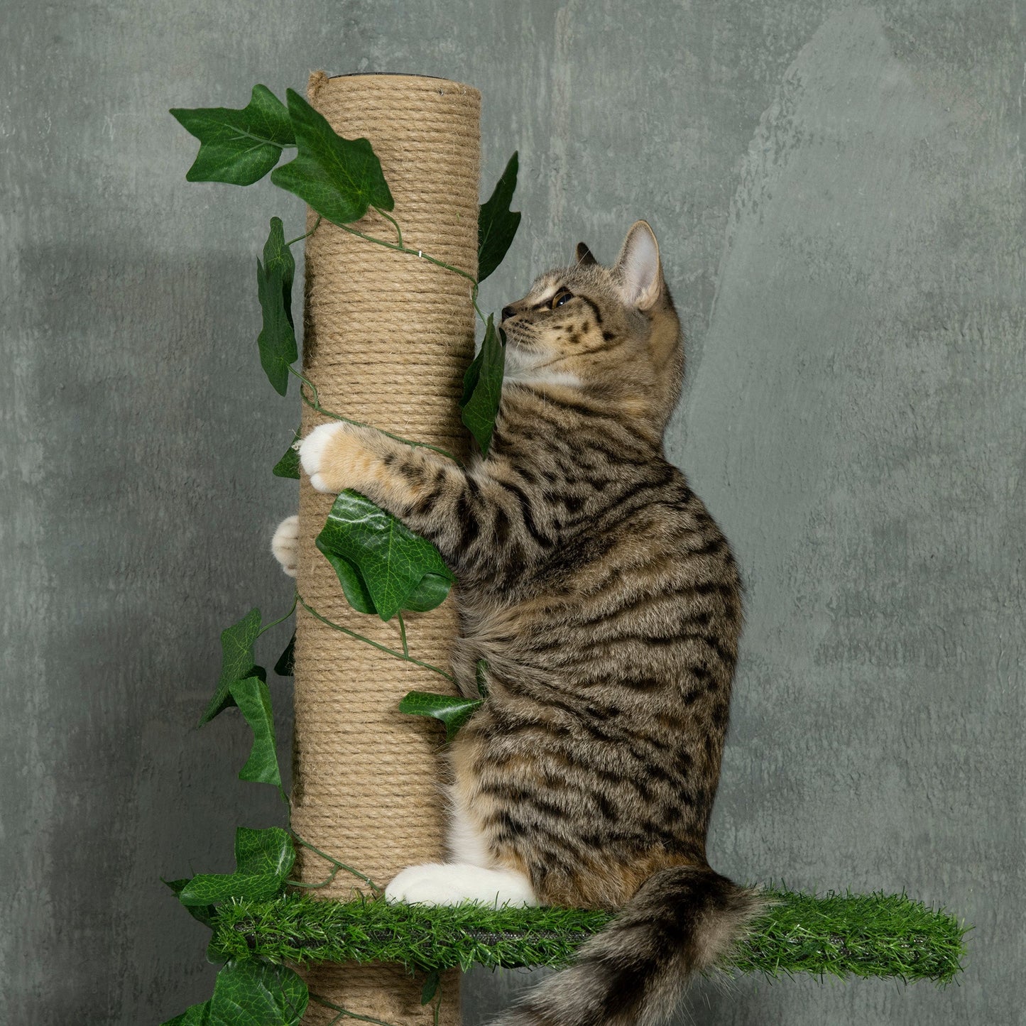 PawHut 242cm Adjustable Floor-To-Ceiling Cat Tree