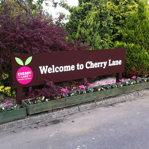 cherry-lane-welcome.png?v\u003d1719309929\u0026width\u003d3200