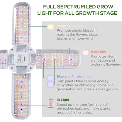 LED Grow Light