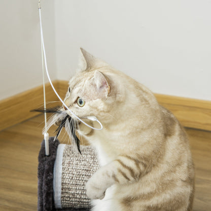 PawHut Cat Scratcher