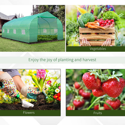 Walk in Polytunnel Greenhouse