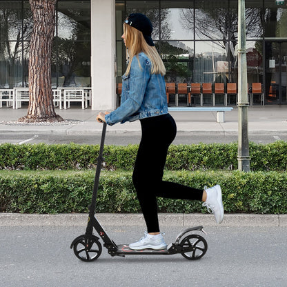 Foldable Kick Scooter