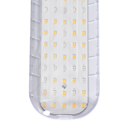 LED Grow Light