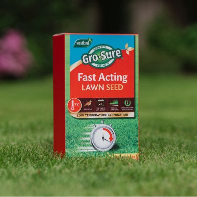 See more information about the Gro-Sure Fast Acting Lawn Seed - 30sqm