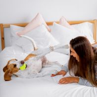 See more information about the Dog Friendly Hotel Stays - Gift Experience