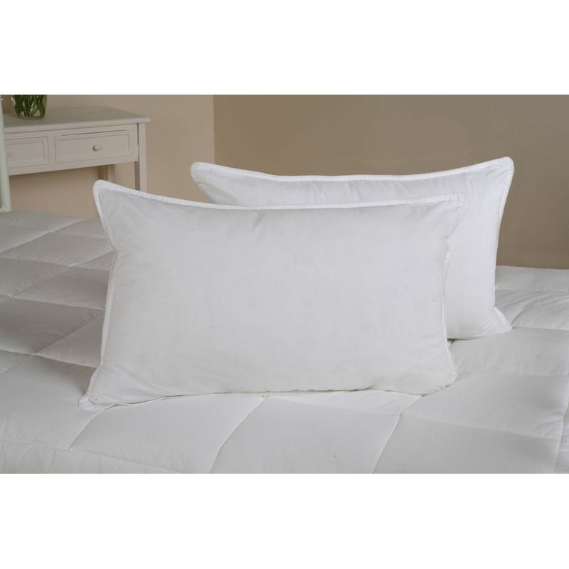 Buy AntiAllergy Duck Feather Down Pillows (2 Pack) Online at Cherry Lane