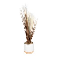 See more information about the Artificial Grasses In A White Pot With White Feathers - 50cm