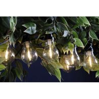 See more information about the Christmas String Festoon Lights Warm White Outdoor 10 LED - 4.5m