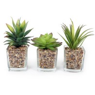 See more information about the Faux Succulent Glass - 7.5cm