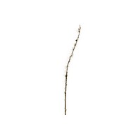 See more information about the Pussy Willow Artificial Plant Green