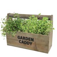 Wooden Garden Herb Caddy Set With Oregano And Thyme